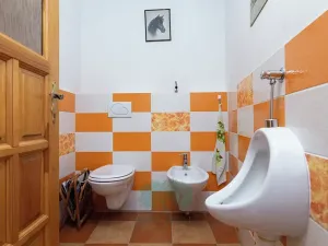 Prodej rodinného domu, Skomelno, 284 m2