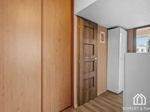 Prodej bytu 3+kk, Praha - Žižkov, Hartigova, 70 m2