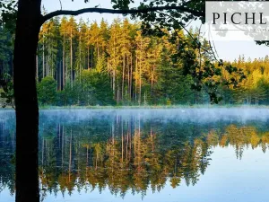 Prodej komerční, Hazlov - Polná, 12000 m2
