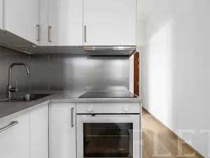 Pronájem bytu 1+kk, Praha - Žižkov, Milíčova, 29 m2