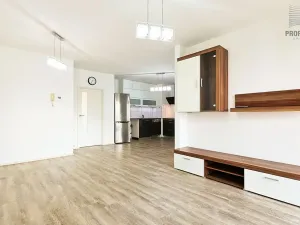 Pronájem bytu 3+kk, Brno, Řípská, 70 m2