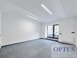 Pronájem obchodního prostoru, Praha - Josefov, Břehová, 54 m2
