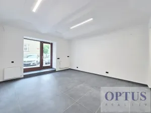 Pronájem obchodního prostoru, Praha - Josefov, Břehová, 54 m2
