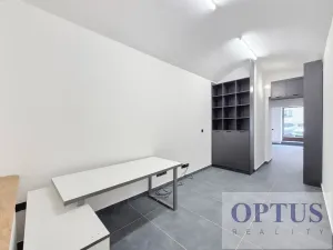 Pronájem obchodního prostoru, Praha - Josefov, Břehová, 54 m2