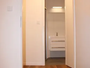 Prodej bytu 1+1, Brno, Dobrovského, 40 m2
