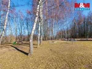 Pronájem bytu 2+1, Horní Slavkov, Kounice, 50 m2