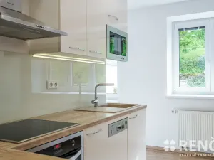 Pronájem bytu 2+kk, Brno, Pod Horkou, 44 m2