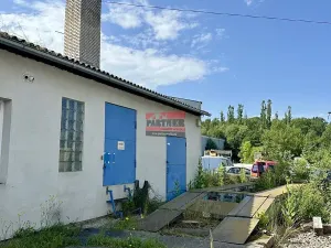 Prodej skladu, Netolice, 11709 m2