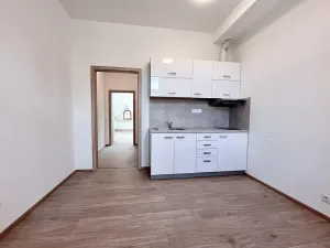 Pronájem bytu 1+1, Brno, Cihlářská, 44 m2