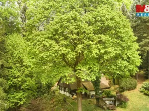 Prodej chalupy, Borová, 70 m2
