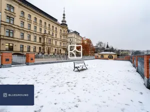 Pronájem bytu 2+kk, Praha - Vinohrady, U Zvonařky, 63 m2