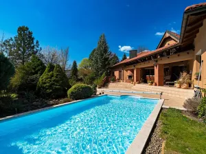Prodej rodinného domu, Zruč-Senec, Na výsluní, 550 m2