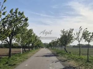 Pronájem bytu 2+kk, Šlapanice, 56 m2