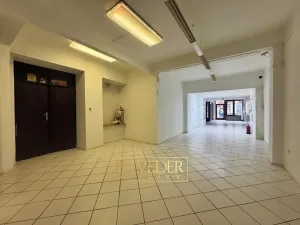 Pronájem obchodního prostoru, Teplice, Masarykova třída, 140 m2
