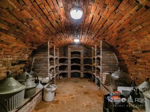 Prodej vinného sklepa, Prušánky, Nechory, 80 m2