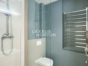 Pronájem bytu 1+kk, Praha - Vinohrady, Lucemburská, 30 m2
