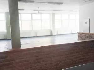 Pronájem obchodního prostoru, Brno, Palackého třída, 311 m2