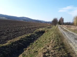 Prodej pozemku pro bydlení, Libina, 1180 m2
