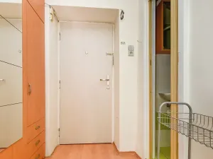 Prodej bytu 1+1, Plzeň, Kyjevská, 29 m2