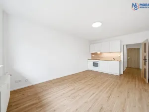 Pronájem bytu 1+kk, Prostějov, Marie Pujmanové, 35 m2