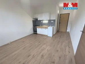 Pronájem bytu 1+1, Ústí nad Labem - Mojžíř, Peškova, 35 m2