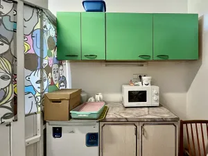 Pronájem obchodního prostoru, Brno, Srbská, 89 m2