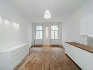 Pronájem bytu 1+1, Praha - Žižkov, Řehořova, 32 m2