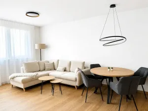 Pronájem bytu 2+kk, Ostrava, U Hájenky, 61 m2