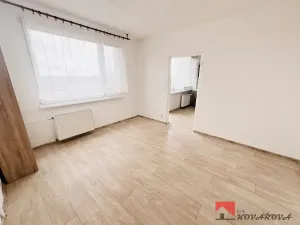 Pronájem bytu 1+1, Roudnice nad Labem, Alej 17. listopadu, 35 m2