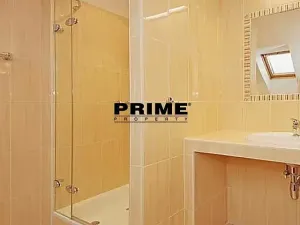 Pronájem rodinného domu, Praha - Střešovice, Nad hradním vodojemem, 350 m2