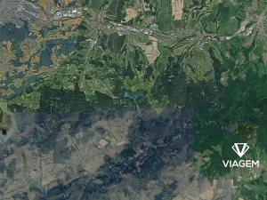 Prodej podílu lesa, Lípa, 2047 m2