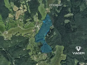 Prodej podílu lesa, Lípa, 4141 m2