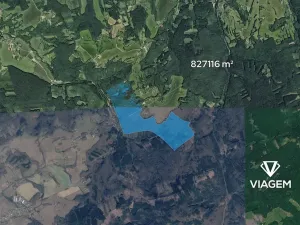 Prodej podílu lesa, Lípa, 13728 m2