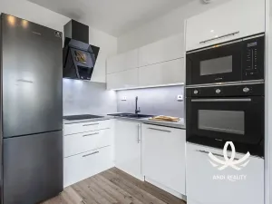 Pronájem bytu 1+kk, Mladá Boleslav, Laurinova, 35 m2
