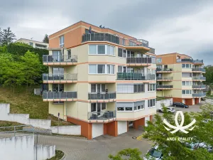Pronájem bytu 1+kk, Mladá Boleslav, Laurinova, 35 m2