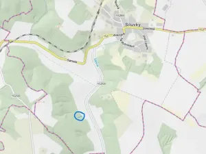 Prodej lesa, Silůvky, 521 m2