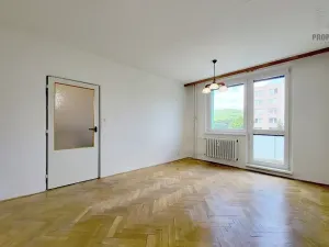 Prodej bytu 1+1, Brno, Absolonova, 35 m2
