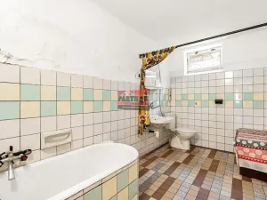 Prodej chalupy, Týn nad Vltavou, 221 m2