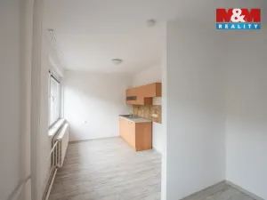 Pronájem bytu 1+kk, Hradec Králové, Sušilova, 32 m2