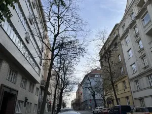 Prodej bytu 2+1, Praha, Vinohradská, 72 m2