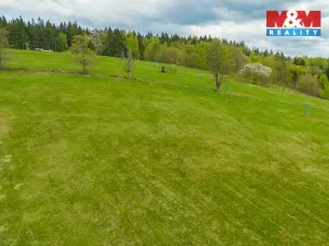 Prodej louky, Albrechtice v Jizerských horách, 13478 m2