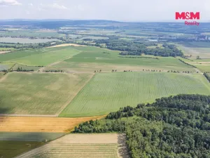 Prodej lesa, Bohuslavice, 11971 m2