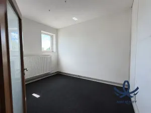 Pronájem skladu, Všejany, 253 m2