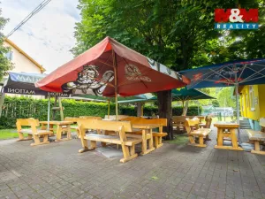 Prodej restaurace, Kyselka - Radošov, 28553 m2