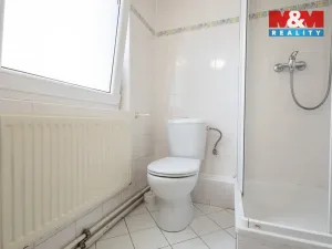 Prodej restaurace, Kyselka - Radošov, 28553 m2