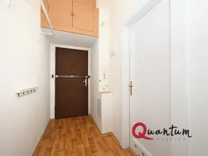 Pronájem bytu 1+kk, Praha - Vinohrady, Fričova, 31 m2