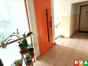 Prodej bytu 1+1, Plzeň, náměstí Milady Horákové, 36 m2
