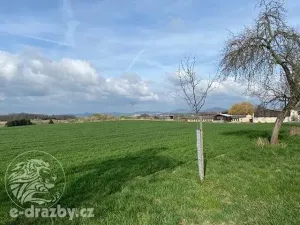 Dražba pole, Bystřice, 11372 m2