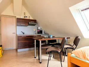 Prodej ubytování, Třinec, Husova, 360 m2