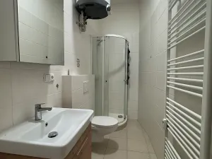 Pronájem bytu 1+1, Mělník, Bezručova, 40 m2